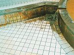 クリーピングA散布後2